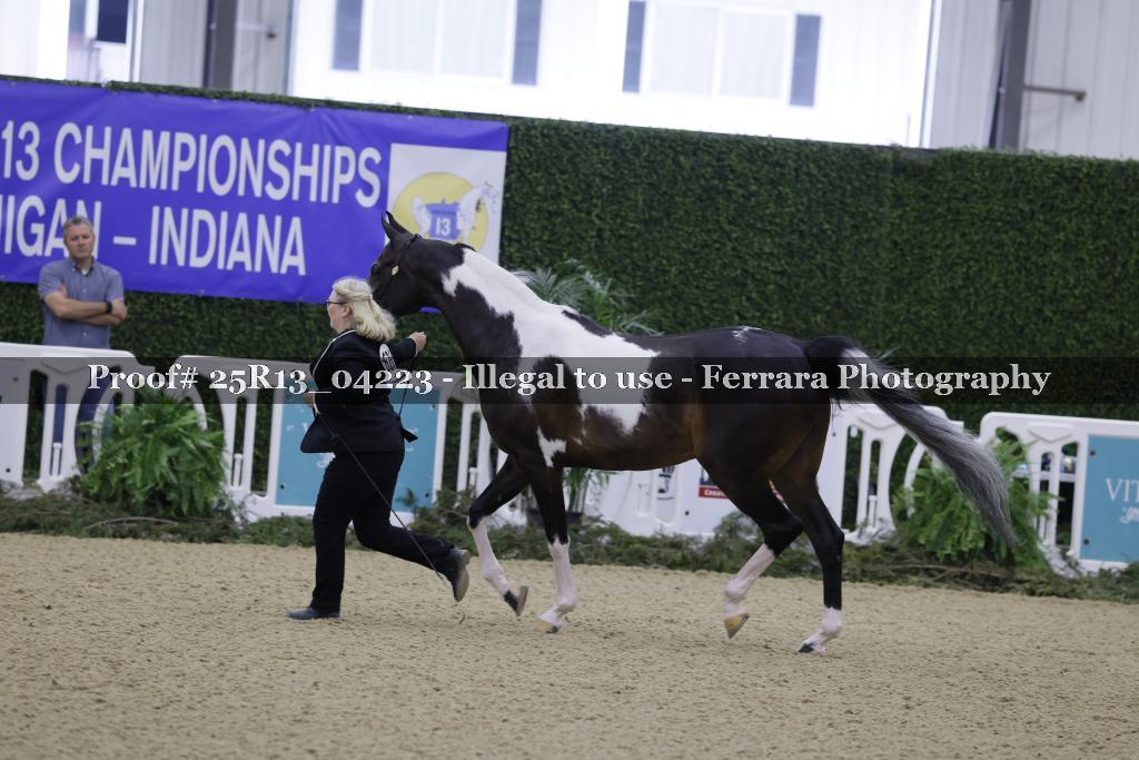 Proof 25R13_04223