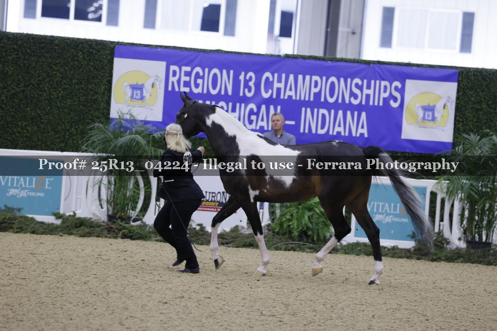 Proof 25R13_04224