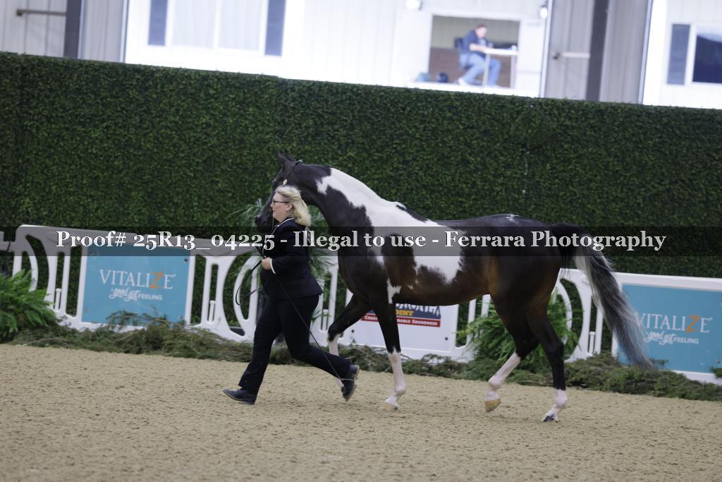 Proof 25R13_04225