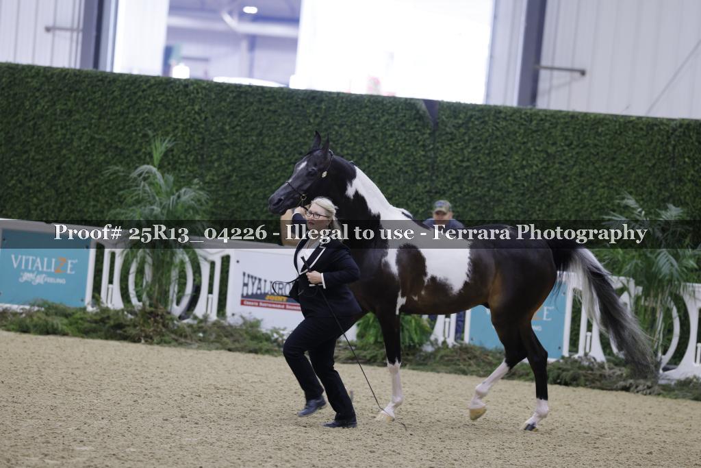Proof 25R13_04226