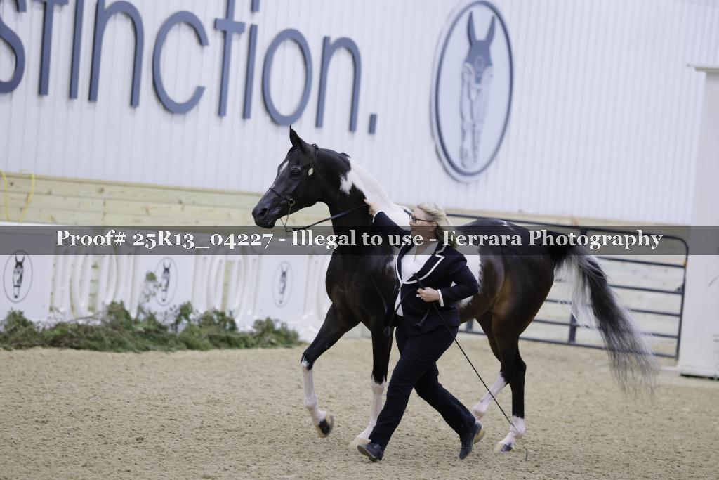 Proof 25R13_04227