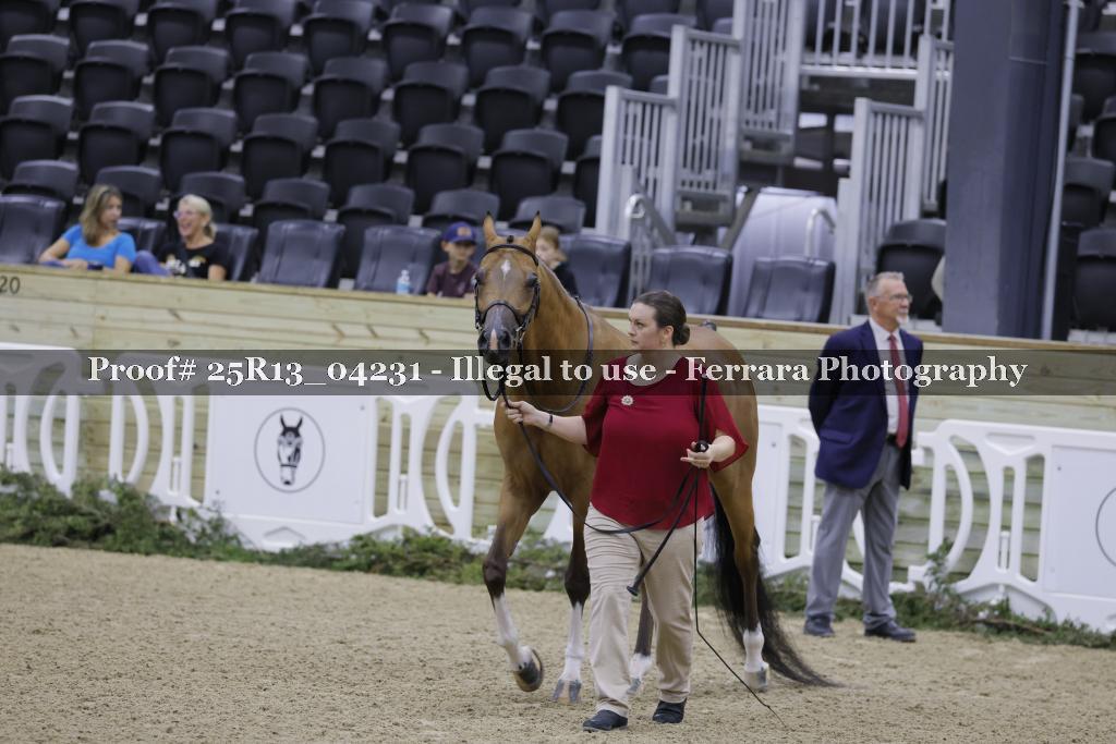Proof 25R13_04231
