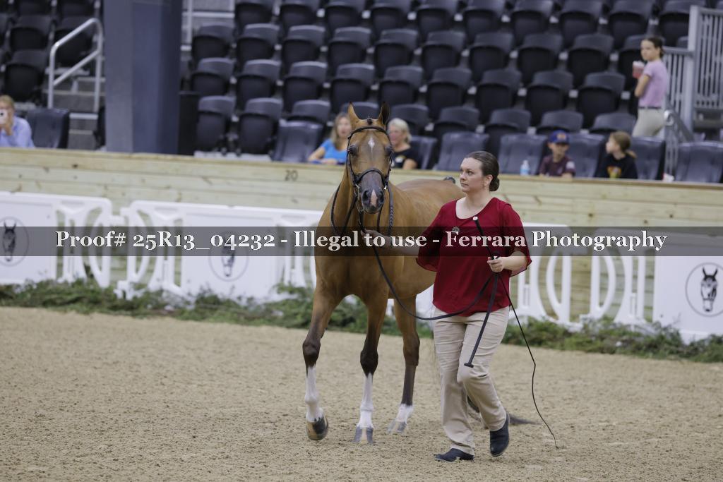 Proof 25R13_04232