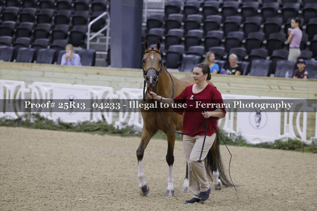 Proof 25R13_04233