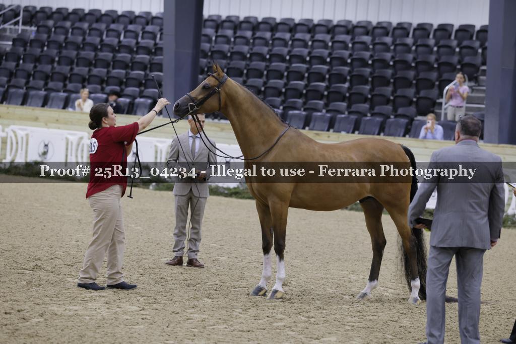 Proof 25R13_04234