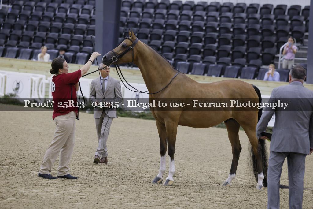 Proof 25R13_04235