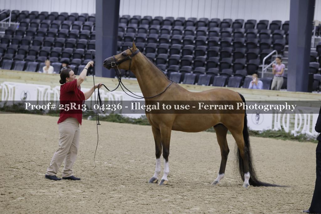 Proof 25R13_04236