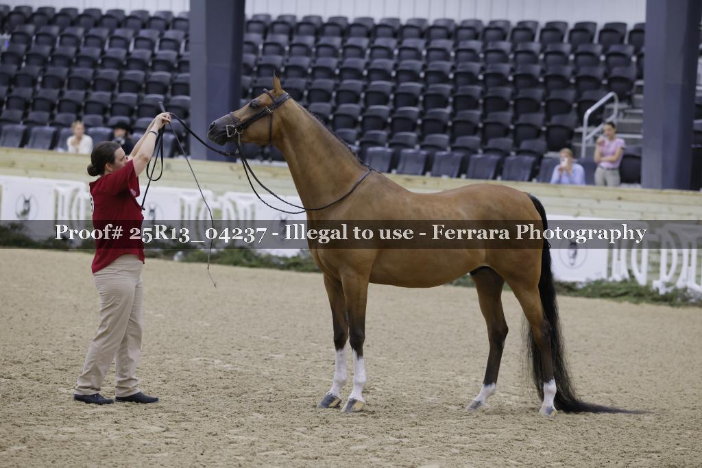 Proof 25R13_04237