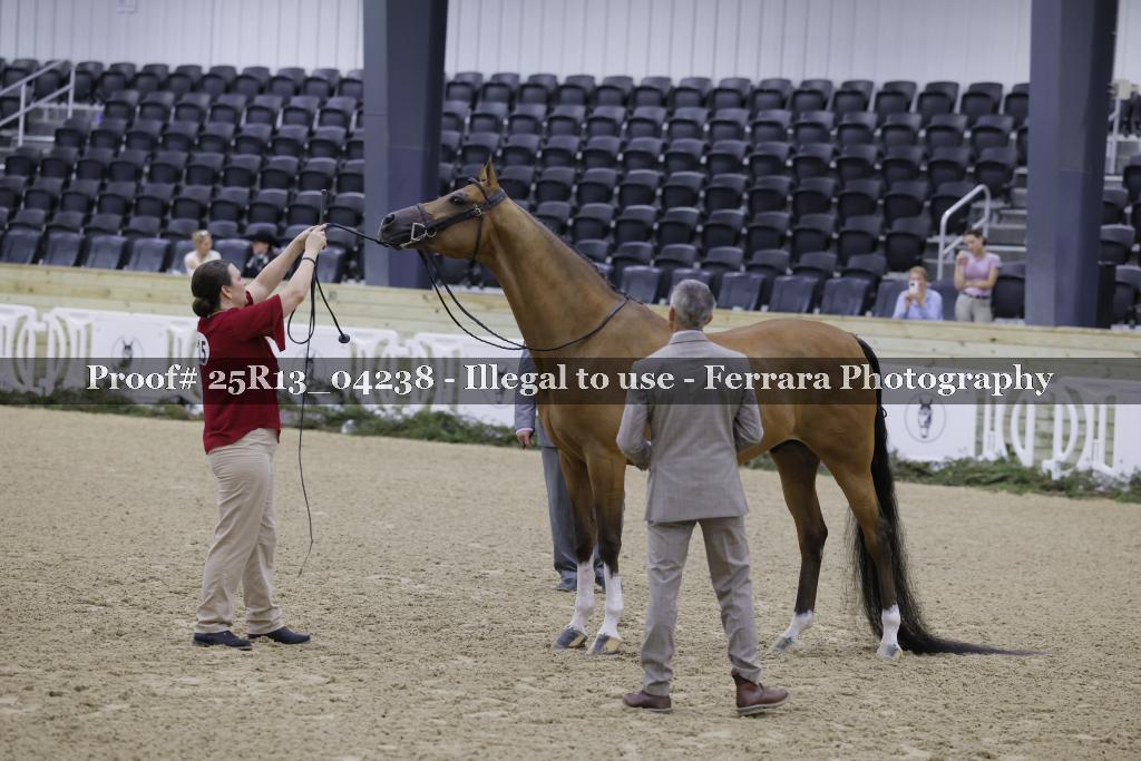 Proof 25R13_04238