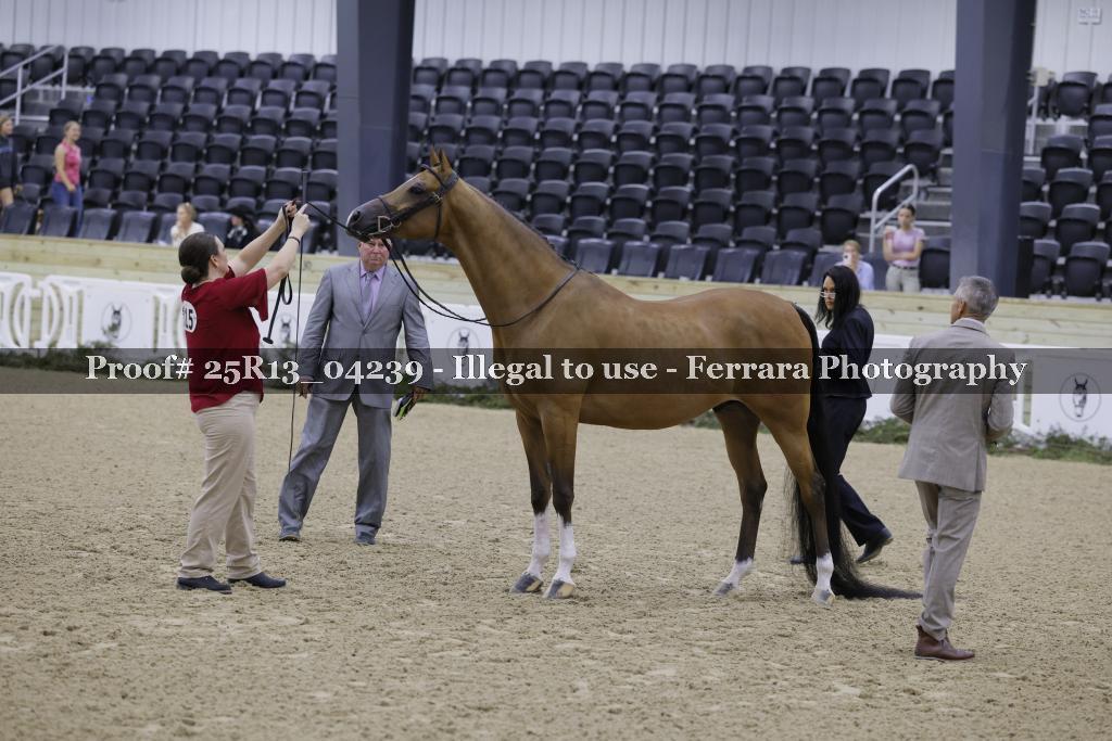 Proof 25R13_04239