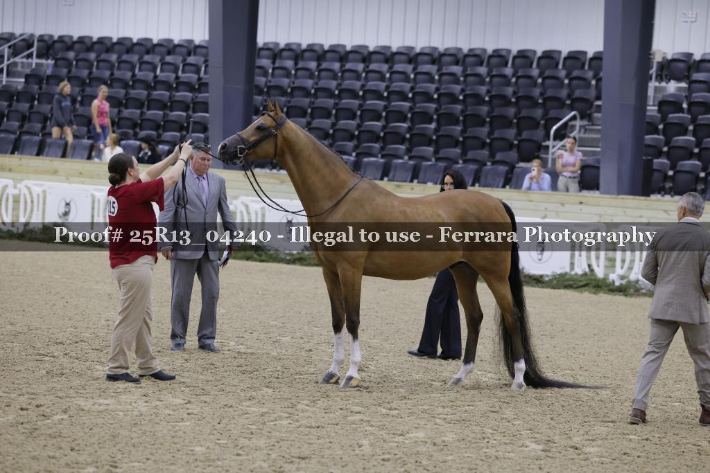 Proof 25R13_04240