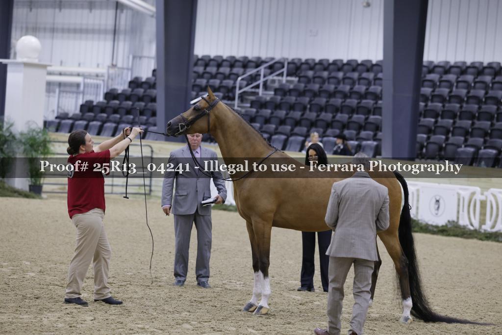 Proof 25R13_04241