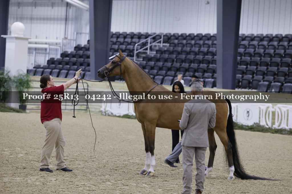 Proof 25R13_04242