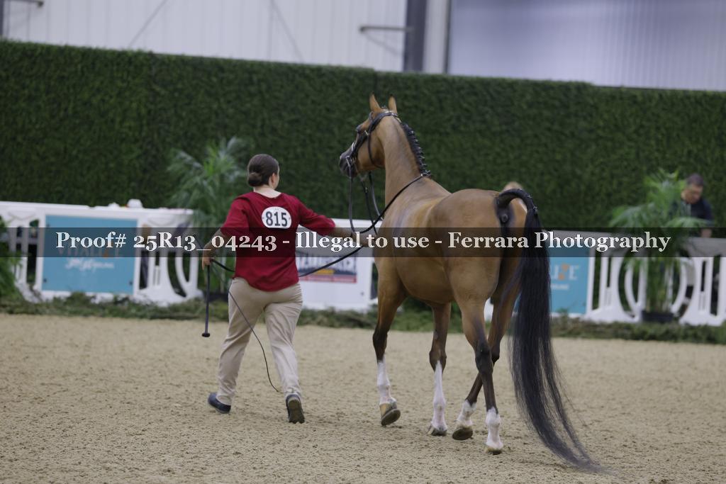 Proof 25R13_04243