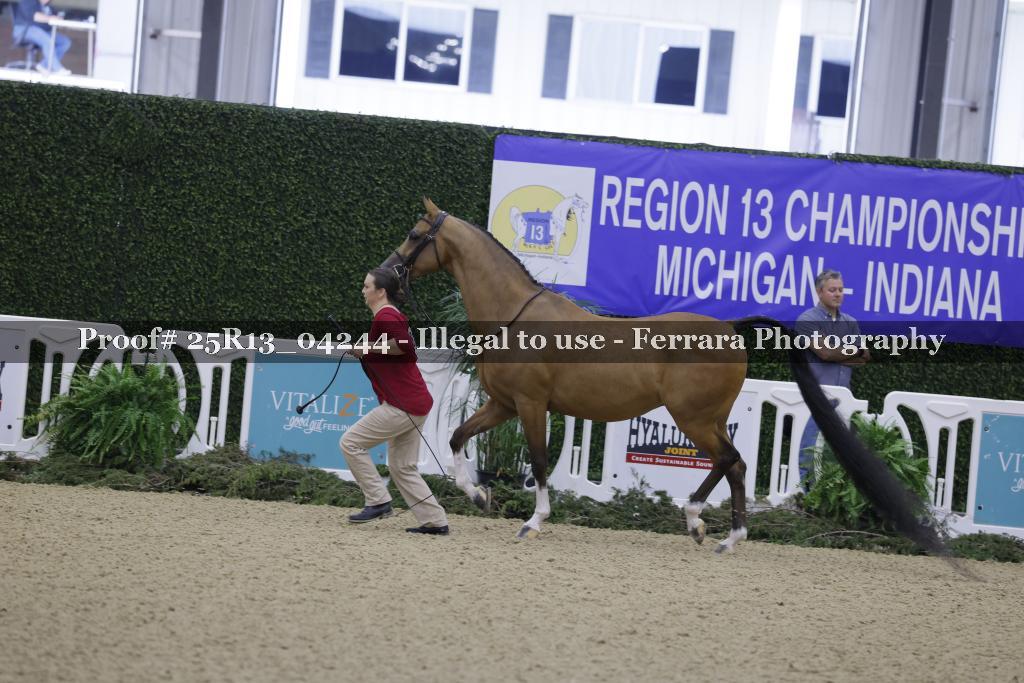 Proof 25R13_04244