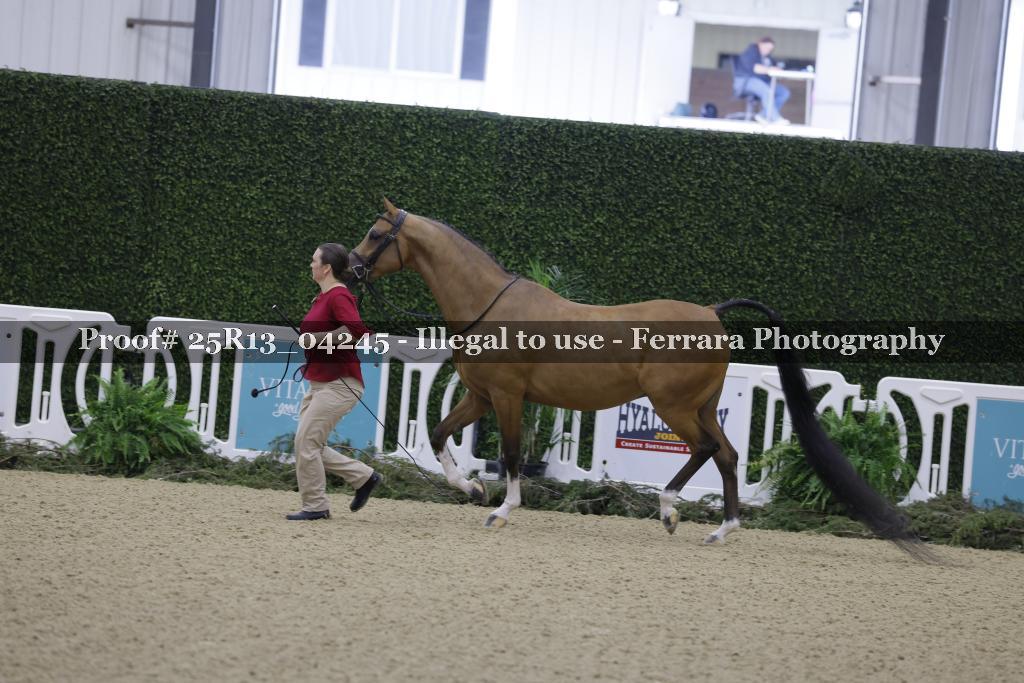 Proof 25R13_04245