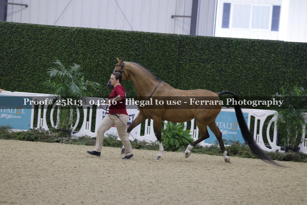 Proof 25R13_04246