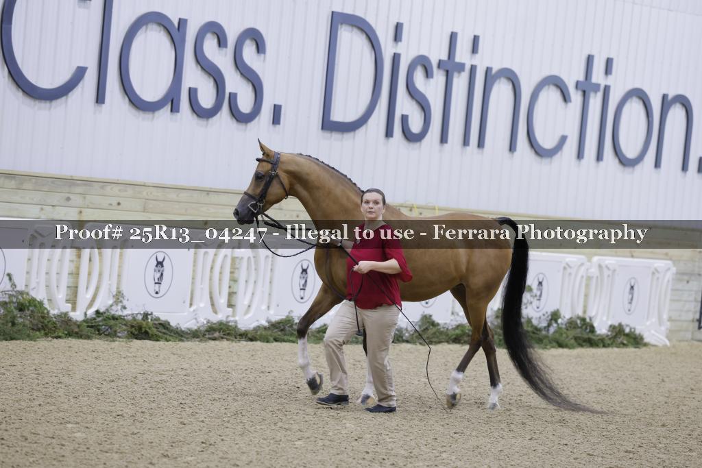 Proof 25R13_04247