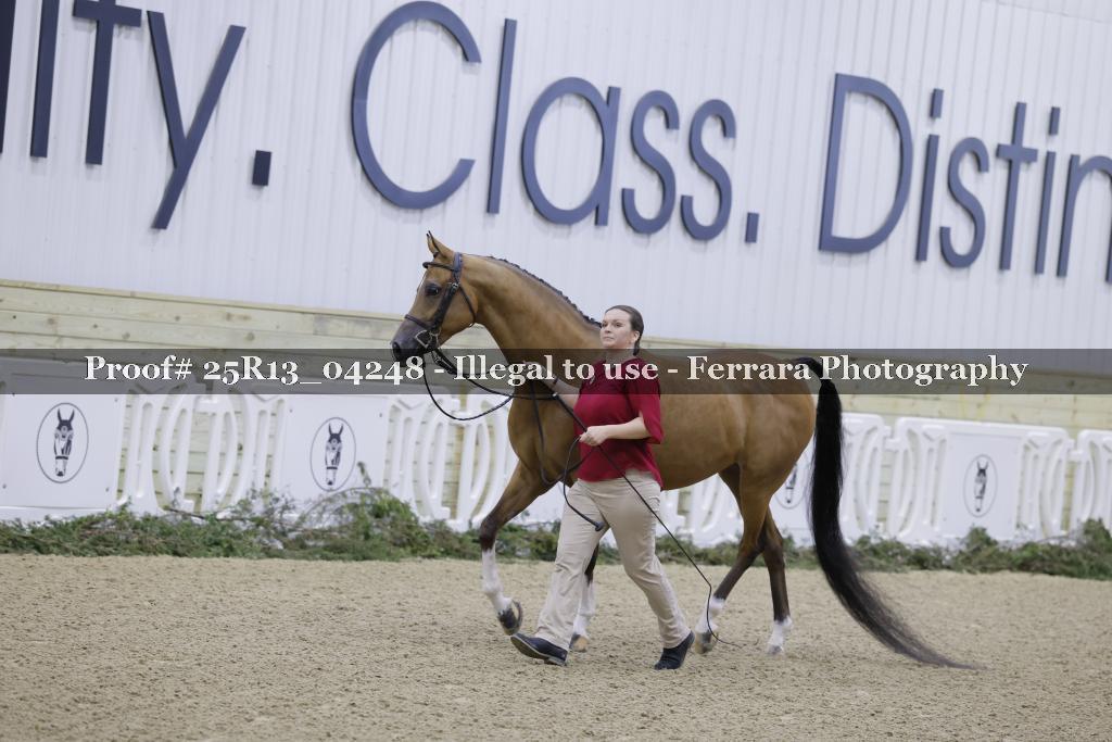 Proof 25R13_04248