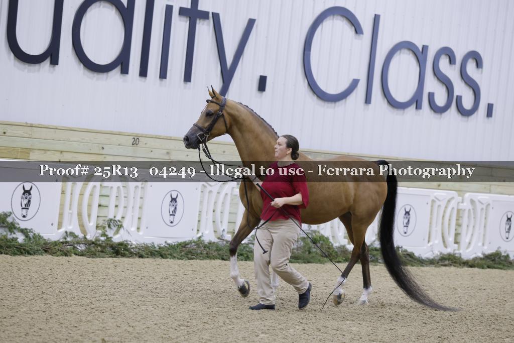 Proof 25R13_04249