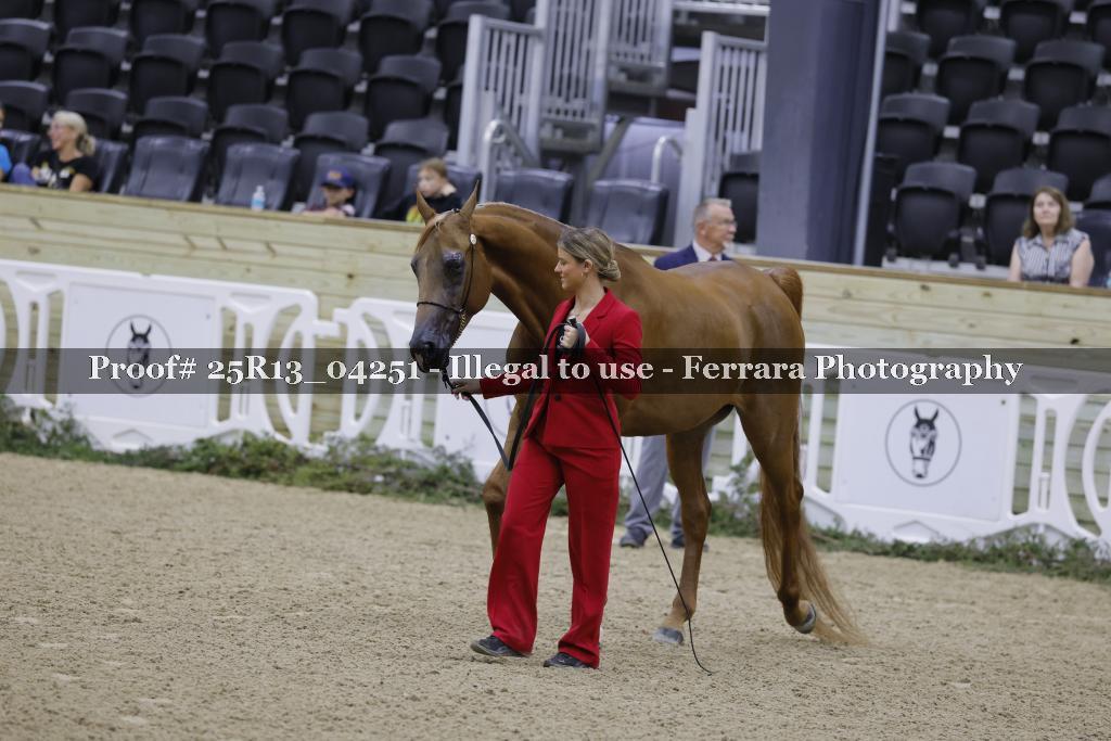 Proof 25R13_04251