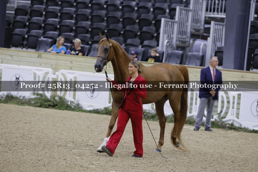 Proof 25R13_04252