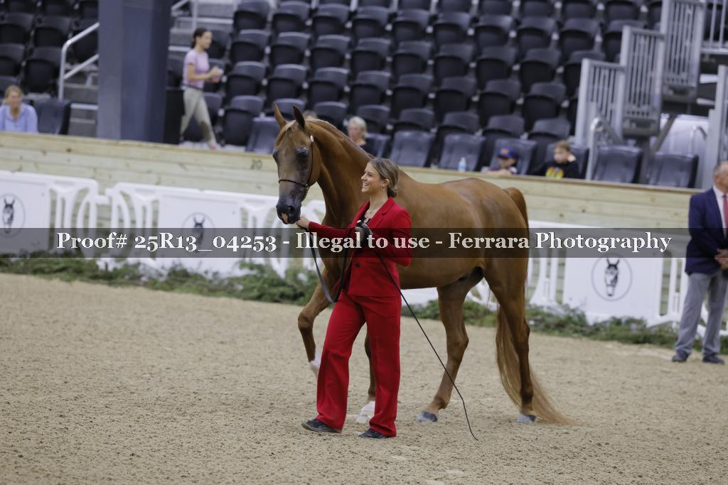 Proof 25R13_04253