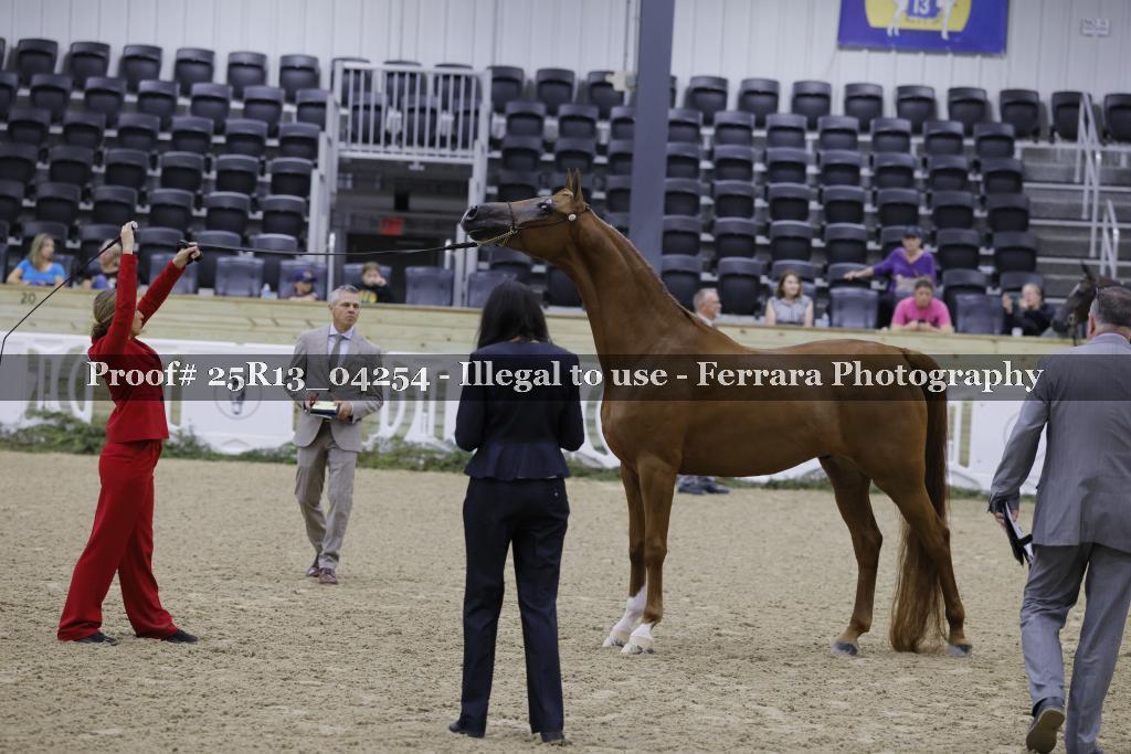 Proof 25R13_04254