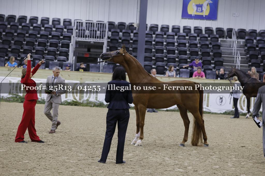Proof 25R13_04255