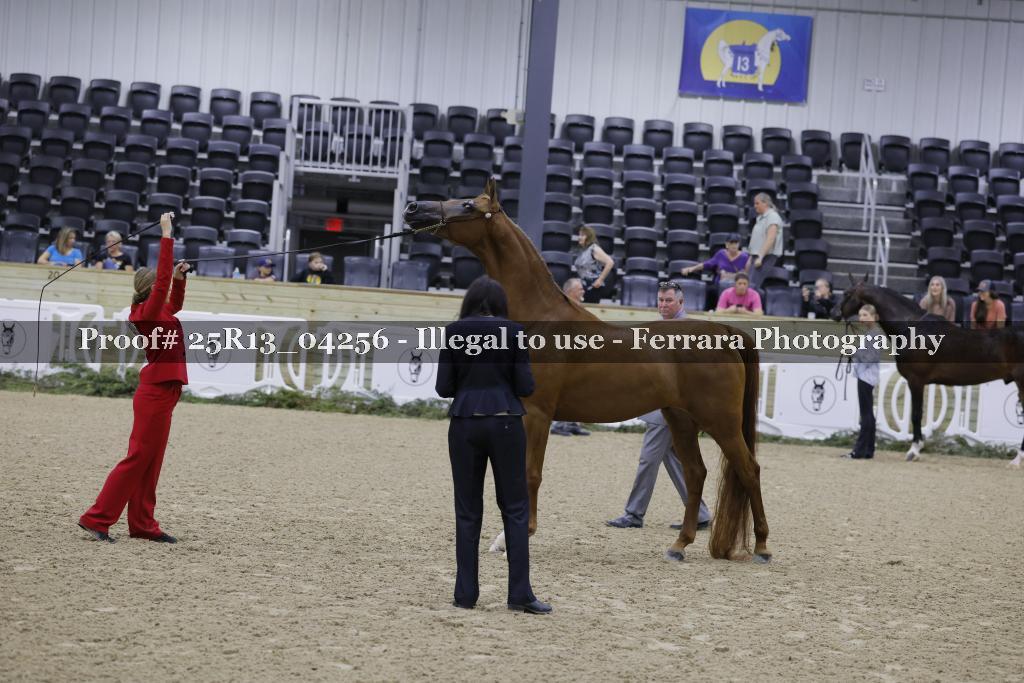 Proof 25R13_04256