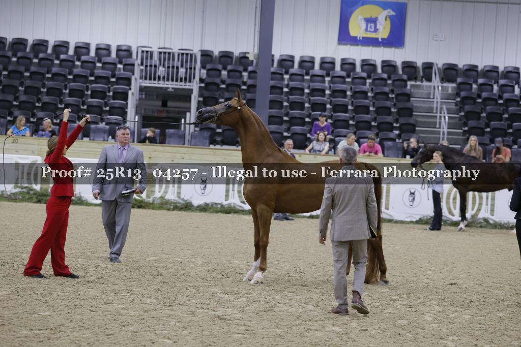Proof 25R13_04257
