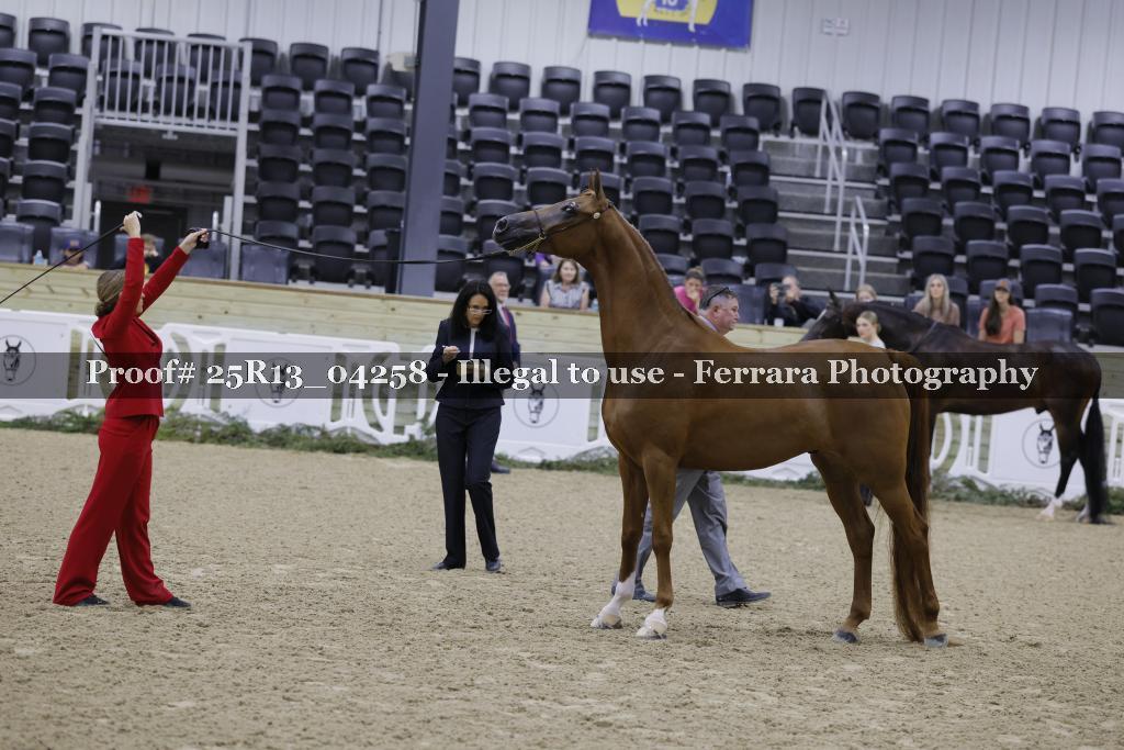 Proof 25R13_04258