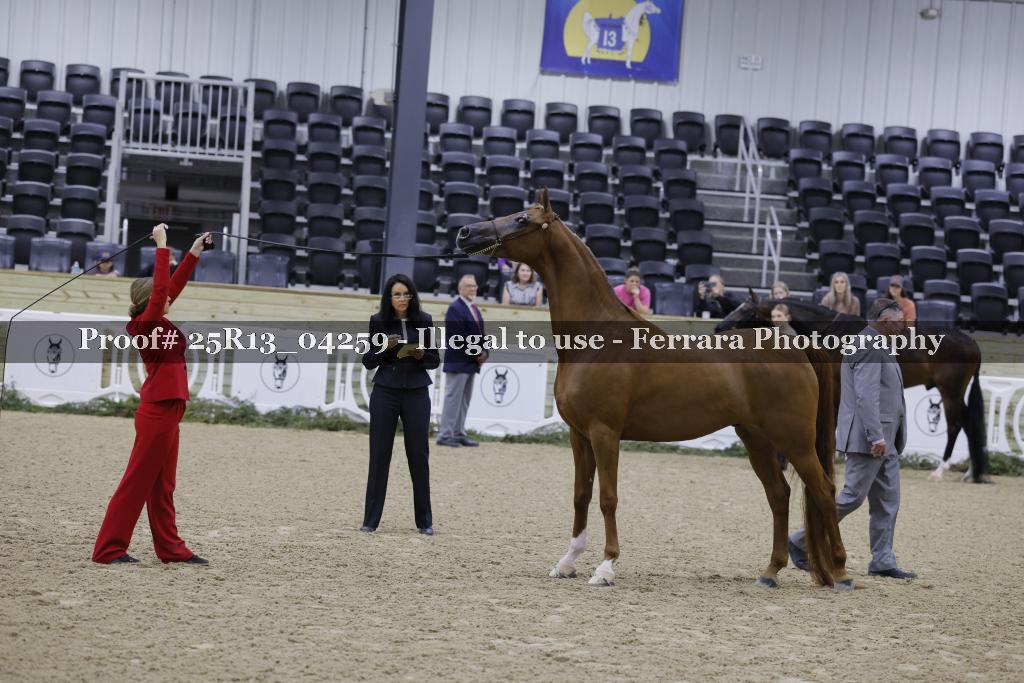Proof 25R13_04259