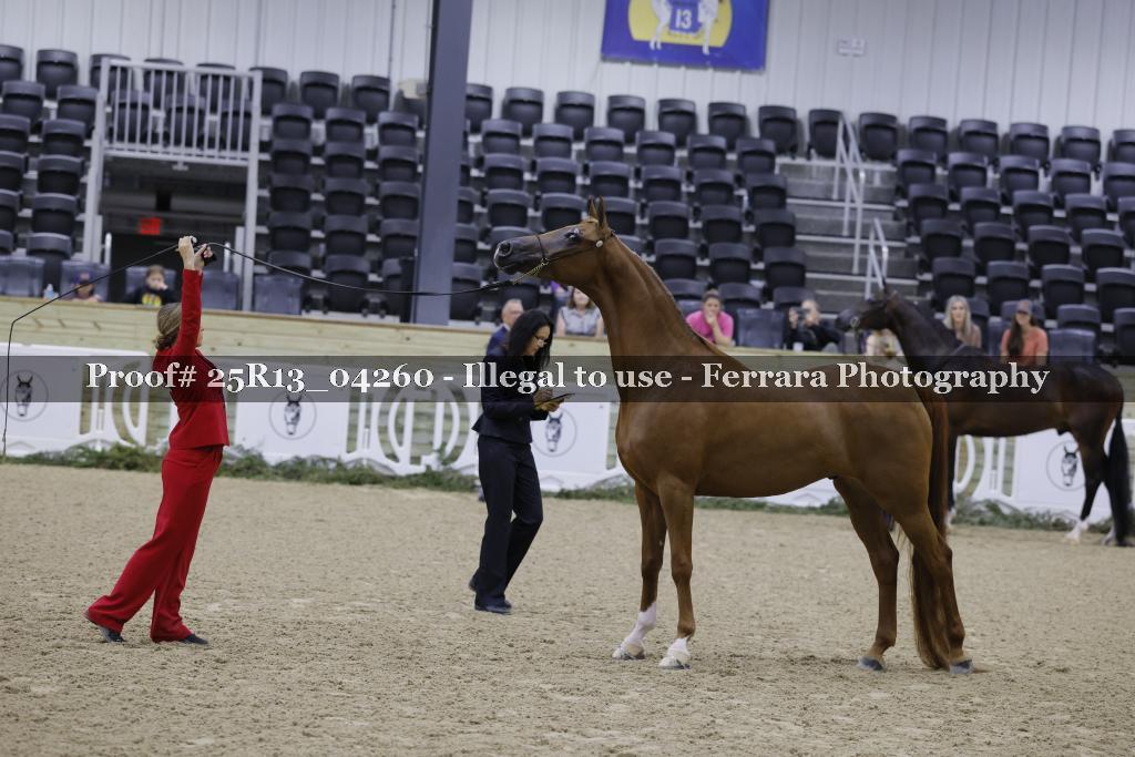 Proof 25R13_04260