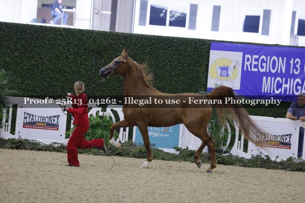 Proof 25R13_04262