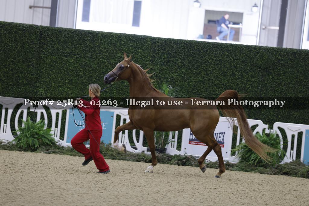 Proof 25R13_04263