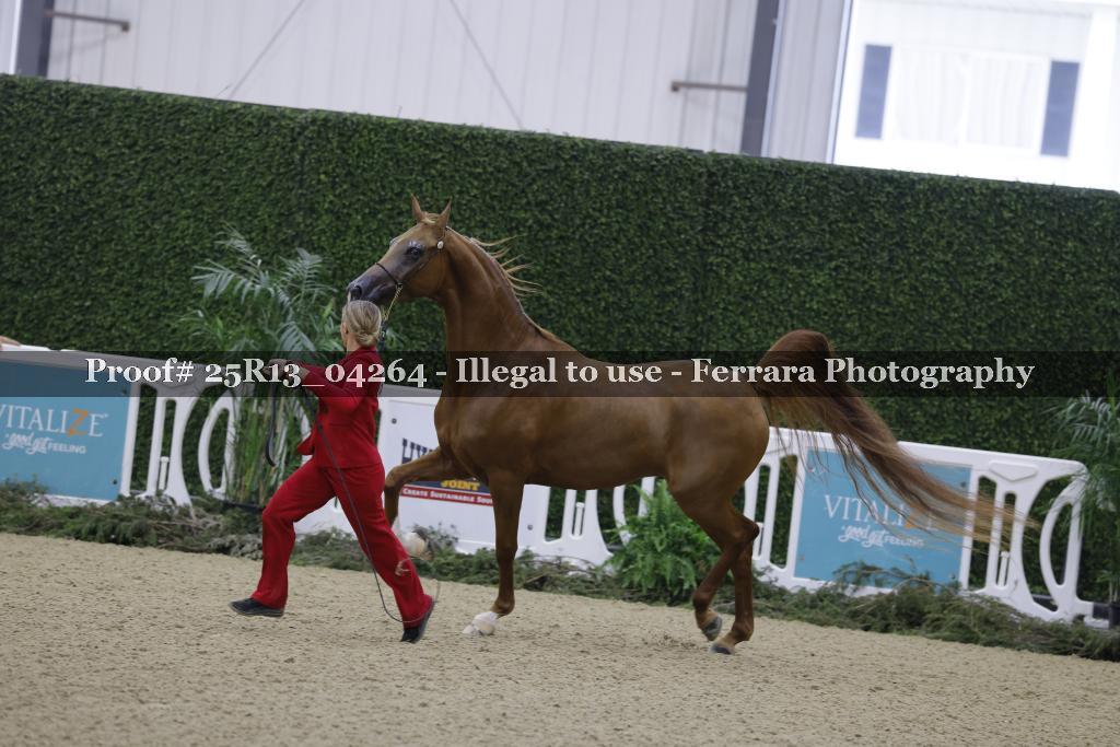 Proof 25R13_04264