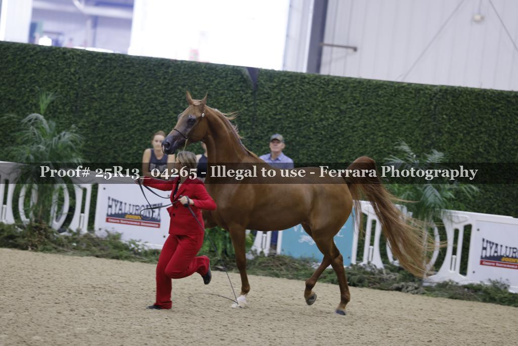 Proof 25R13_04265