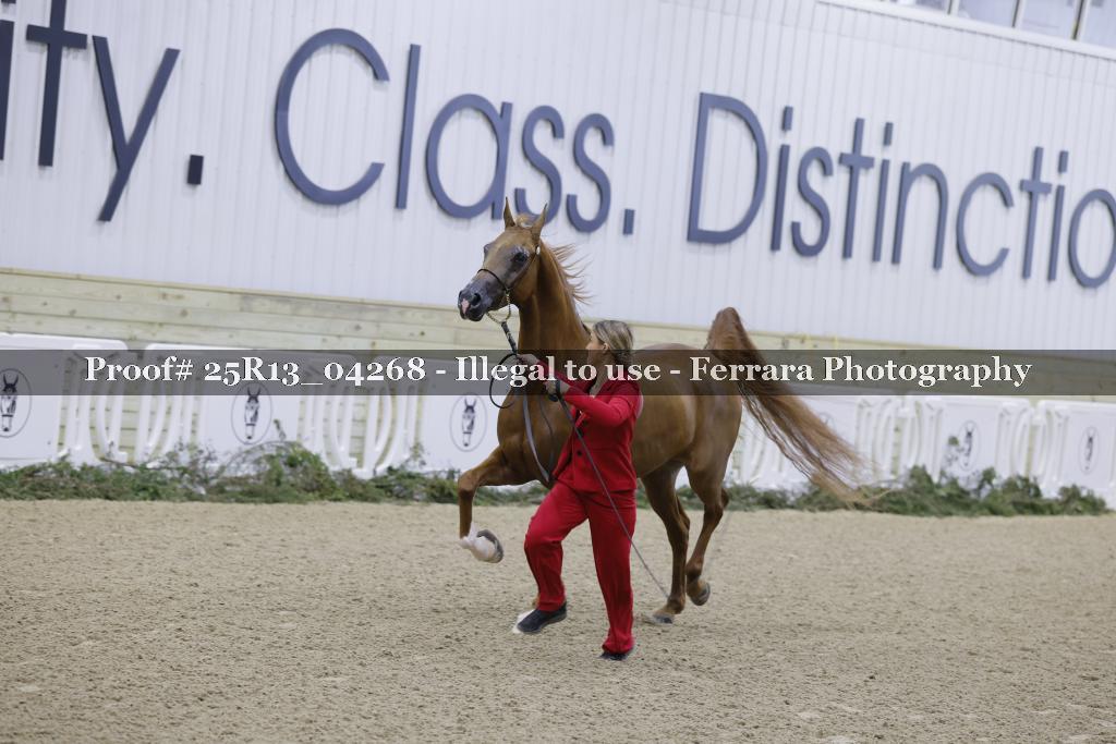 Proof 25R13_04268