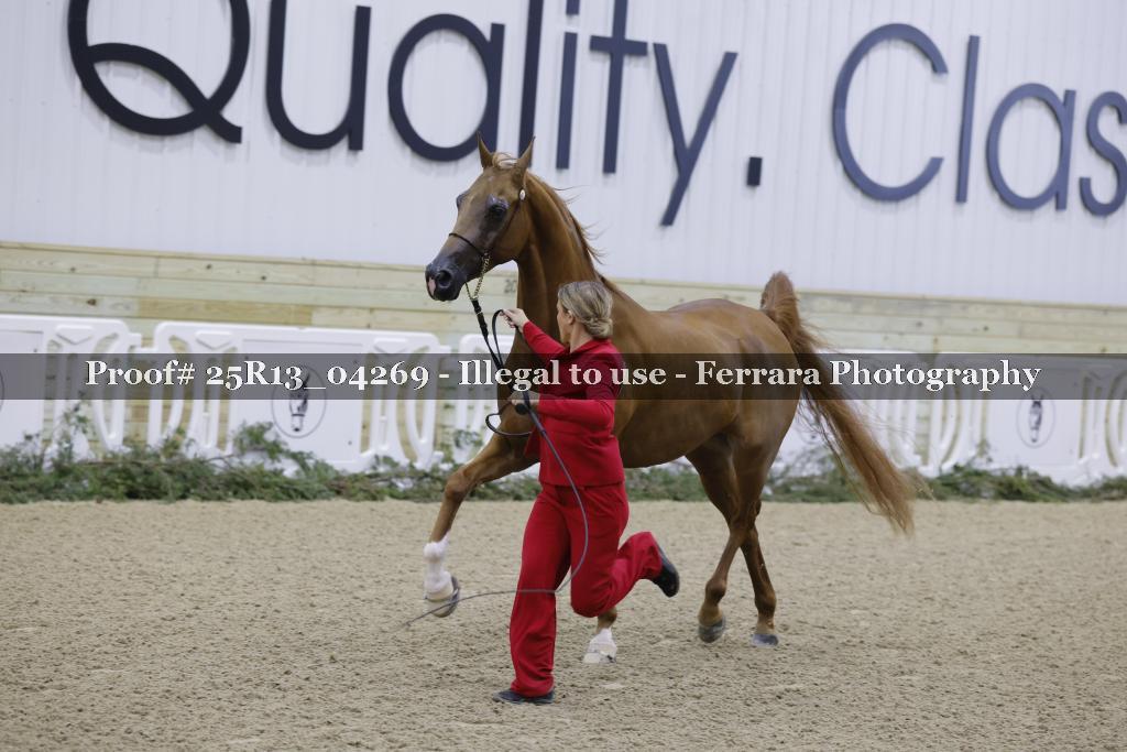 Proof 25R13_04269