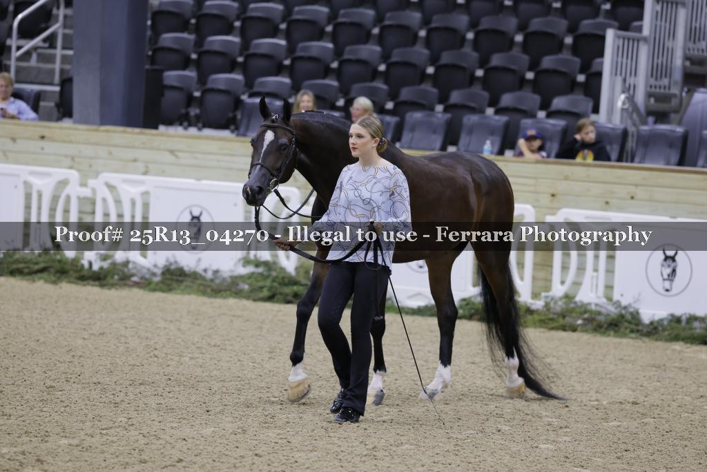 Proof 25R13_04270