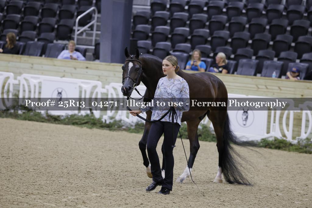 Proof 25R13_04271