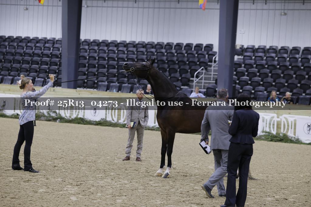 Proof 25R13_04273