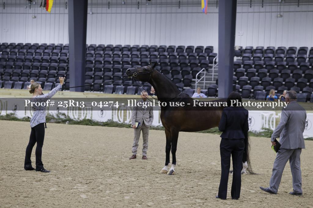 Proof 25R13_04274