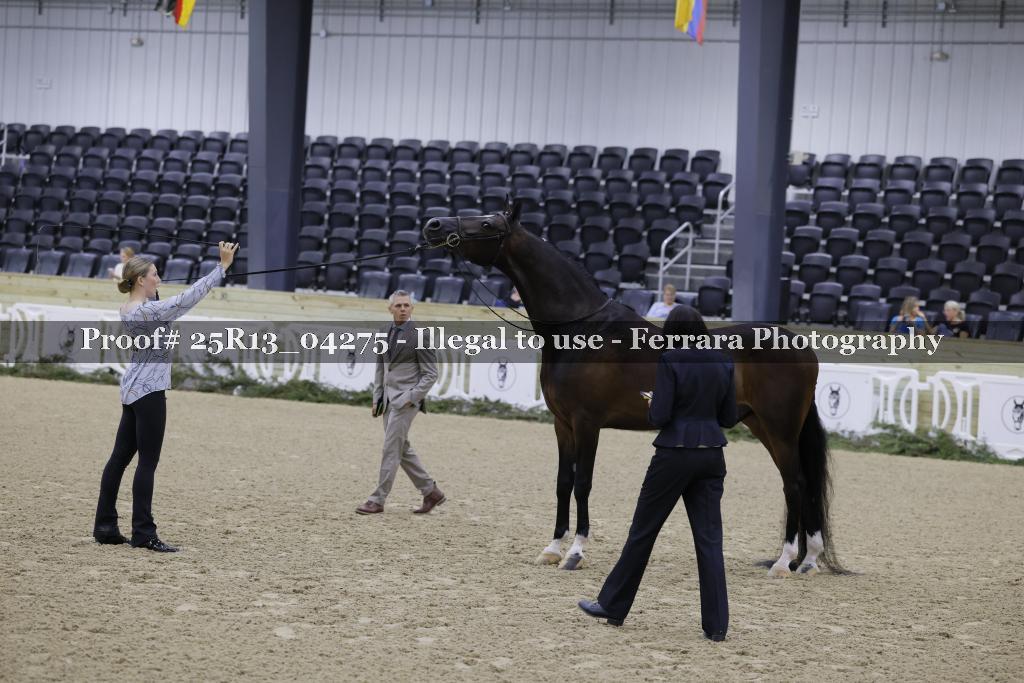 Proof 25R13_04275