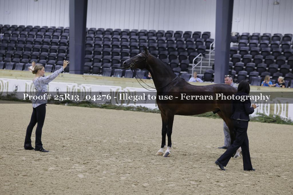 Proof 25R13_04276
