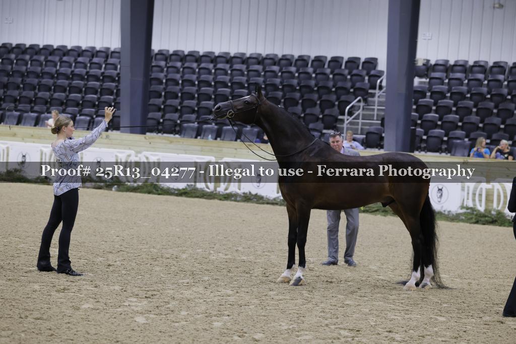Proof 25R13_04277