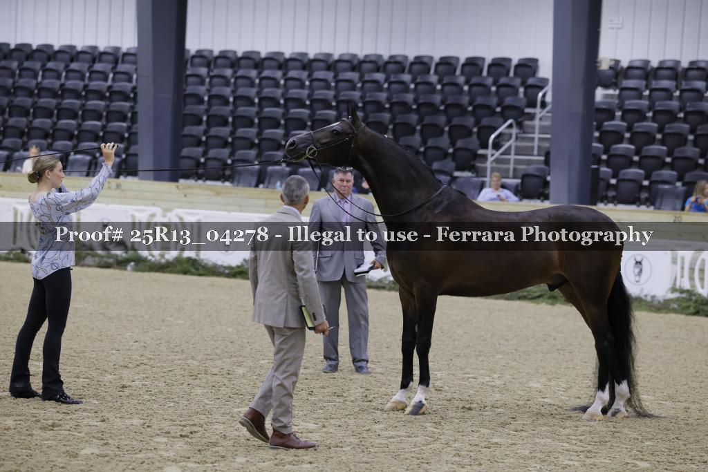 Proof 25R13_04278