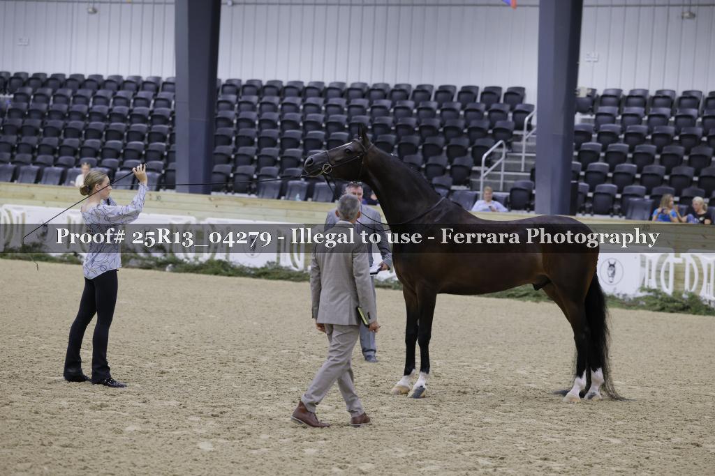 Proof 25R13_04279