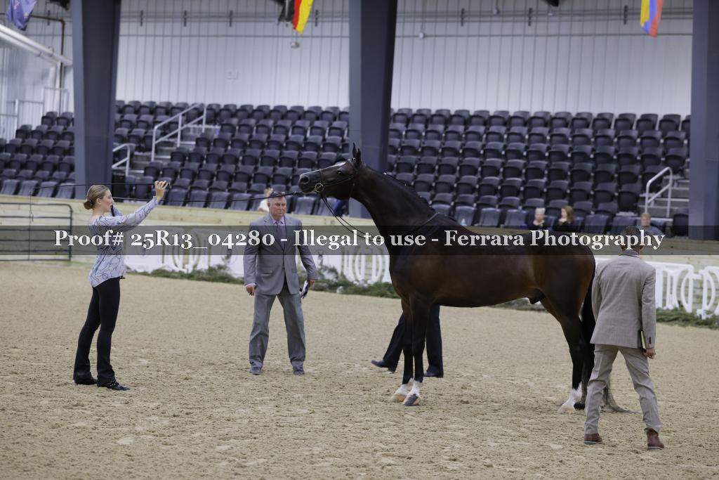 Proof 25R13_04280